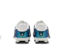 Cargar imagen en el visor de la galería, BOTAS NIKE JR LEGEND 10 ACADEMY FG/MG