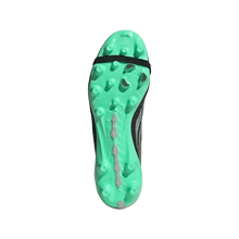 Load image into Gallery viewer, BOTAS ADIDAS PREDATOR LEAGUE FT AG