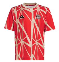 Cargar imagen en el visor de la galería, CAMISETA PRE-MATCH FC BAYERN MUNICH 2024/25 JR
