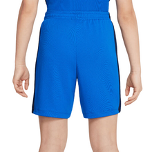 Cargar imagen en el visor de la galería, PANTALÓN CORTO NIKE DRI-FIT ACADEMY JR
