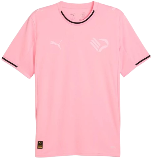 CAMISETA 1A EQUIPACIÓN PALERMO 2025/26