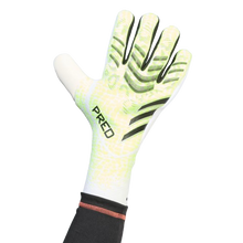 Cargar imagen en el visor de la galería, GUANTES DE PORTERO PREDATOR PRO
