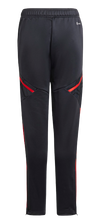 Cargar imagen en el visor de la galería, PANTALÓN ENTRENAMIENTO FC BAYERN 2022-2023 JR
