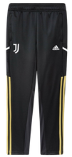 Cargar imagen en el visor de la galería, PANTALÓN ENTRENAMIENTO JUVENTUS JR
