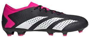 BOTAS ADIDAS PREDATOR ACCURACY .3 LOW FG