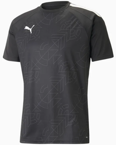 CAMISETA PUMA TEAMLIGA